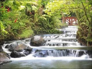 Tabacon Grand Spa Thermal Resort Arenal Esterno foto